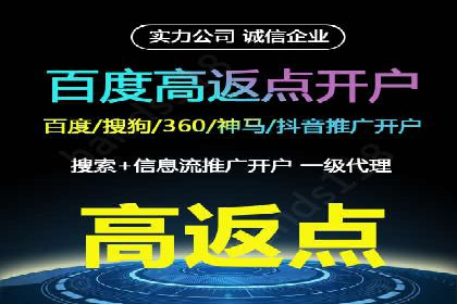 百度推广实战：成功企业的营销策略